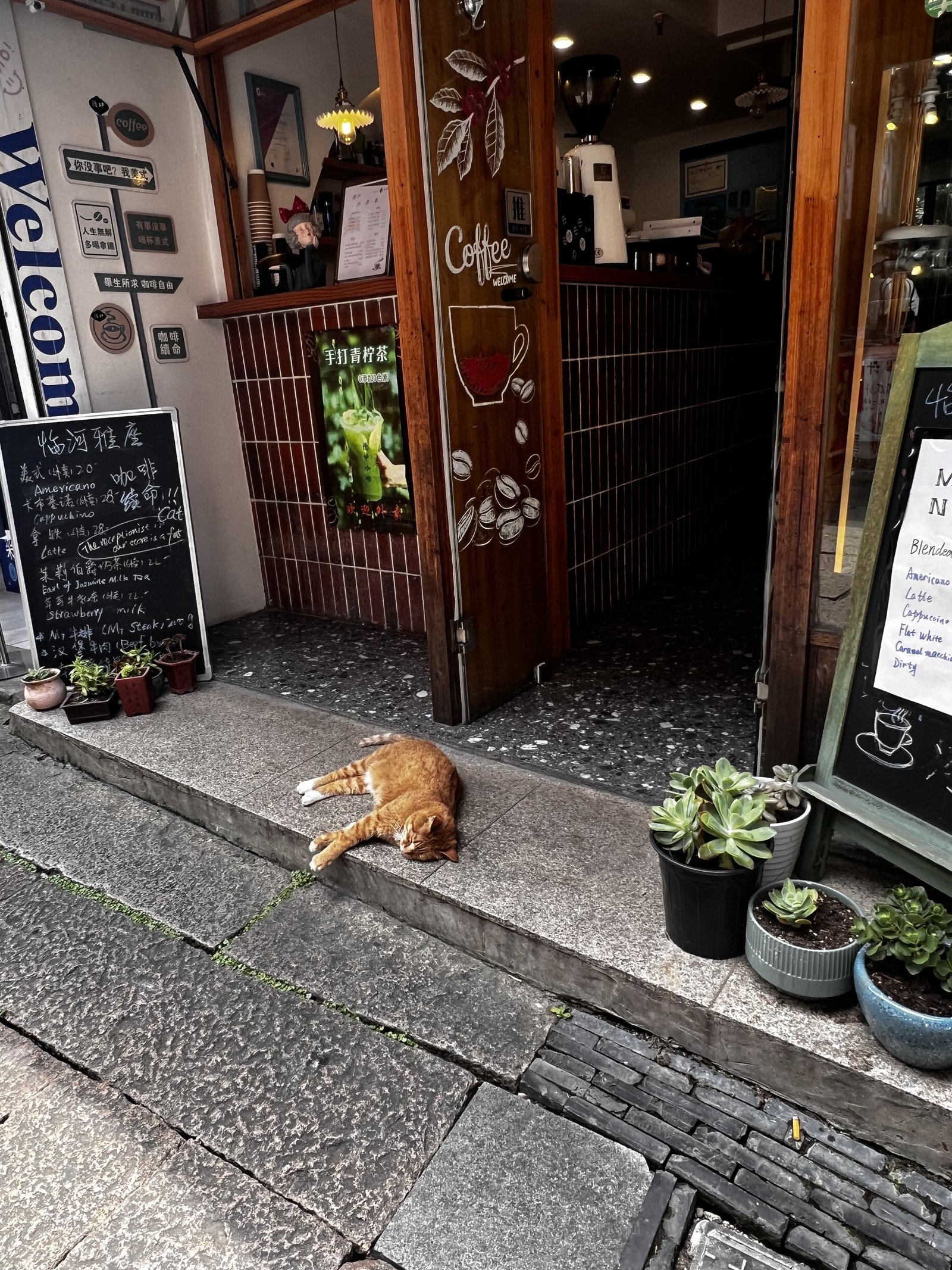 Catnap